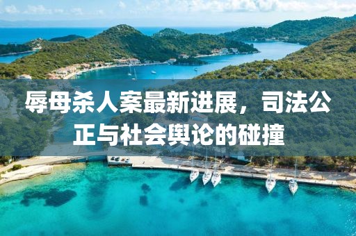 辱母殺人案最新進(jìn)展，司法公正與社會(huì)輿論的碰撞