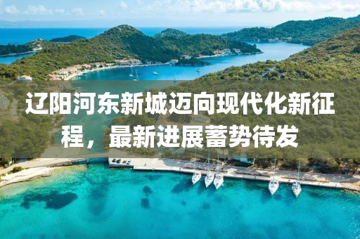 遼陽(yáng)河?xùn)|新城邁向現(xiàn)代化新征程，最新進(jìn)展蓄勢(shì)待發(fā)