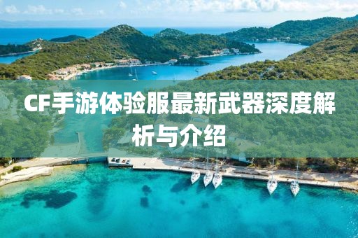 CF手游體驗服最新武器深度解析與介紹
