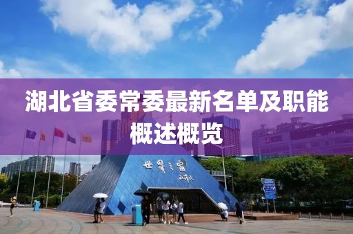 湖北省委常委最新名單及職能概述概覽