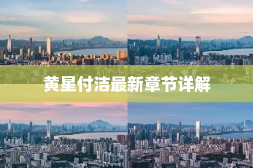 黃星付潔最新章節(jié)詳解