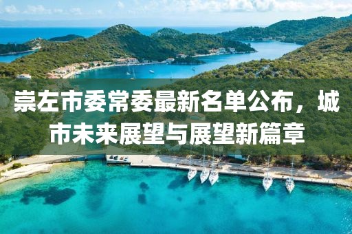 崇左市委常委最新名單公布，城市未來展望與展望新篇章