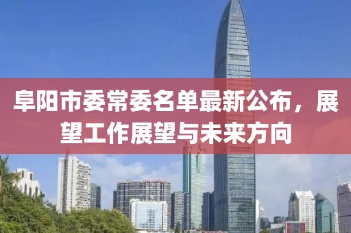 阜陽市委常委名單最新公布，展望工作展望與未來方向