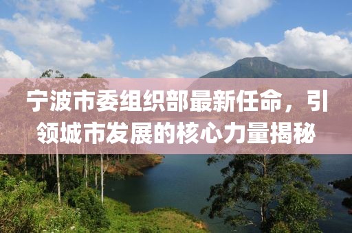 寧波市委組織部最新任命，引領城市發(fā)展的核心力量揭秘