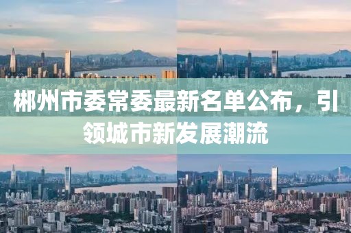 郴州市委常委最新名單公布，引領(lǐng)城市新發(fā)展潮流