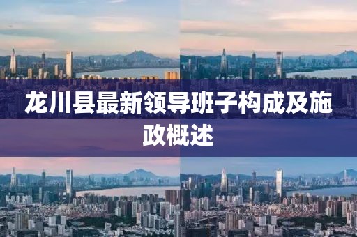 龍川縣最新領(lǐng)導(dǎo)班子構(gòu)成及施政概述