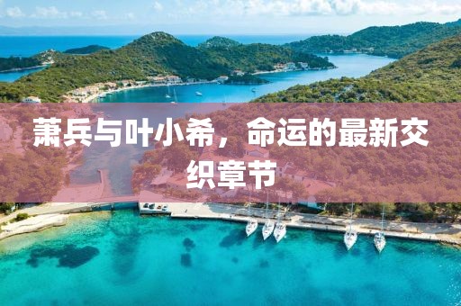 蕭兵與葉小希，命運的最新交織章節(jié)