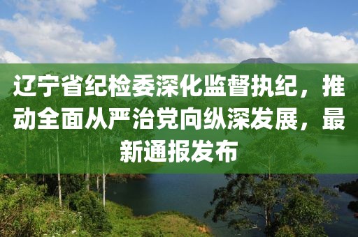 遼寧省紀(jì)檢委深化監(jiān)督執(zhí)紀(jì)，推動(dòng)全面從嚴(yán)治黨向縱深發(fā)展，最新通報(bào)發(fā)布