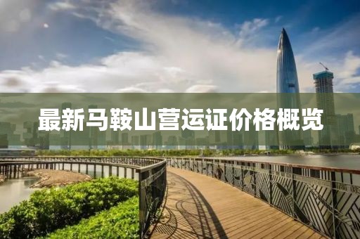 最新馬鞍山營運(yùn)證價(jià)格概覽