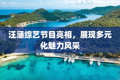 汪涵綜藝節(jié)目亮相，展現(xiàn)多元化魅力風(fēng)采