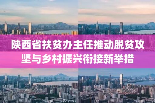 陜西省扶貧辦主任推動脫貧攻堅與鄉(xiāng)村振興銜接新舉措