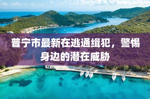 普寧市最新在逃通緝犯，警惕身邊的潛在威脅