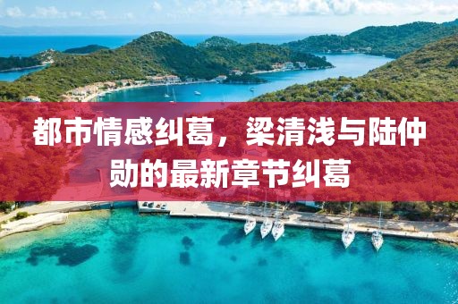 都市情感糾葛，梁清淺與陸仲勛的最新章節(jié)糾葛