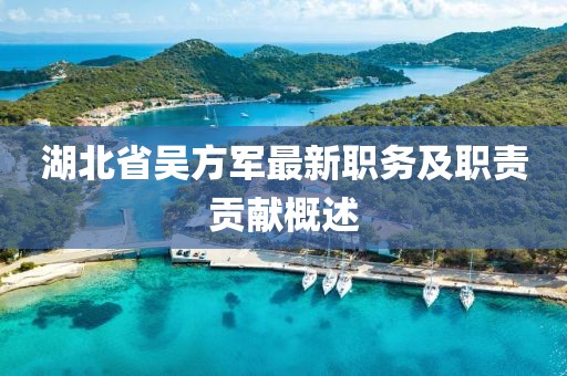 湖北省吳方軍最新職務(wù)及職責(zé)貢獻(xiàn)概述