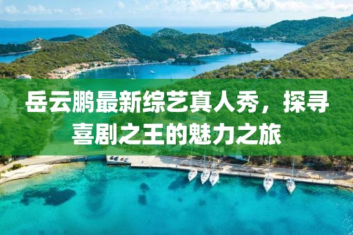 岳云鵬最新綜藝真人秀，探尋喜劇之王的魅力之旅