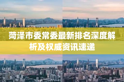 菏澤市委常委最新排名深度解析及權(quán)威資訊速遞