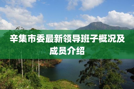 辛集市委最新領(lǐng)導(dǎo)班子概況及成員介紹
