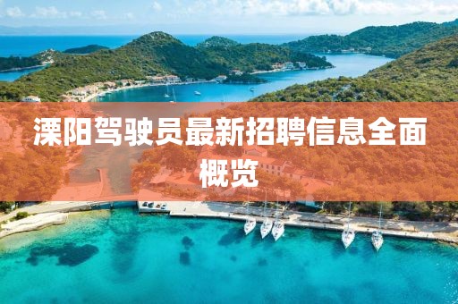 溧陽(yáng)駕駛員最新招聘信息全面概覽