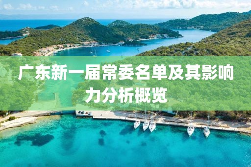 廣東新一屆常委名單及其影響力分析概覽