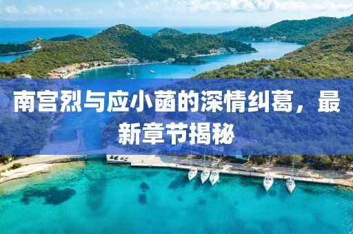南宮烈與應(yīng)小菡的深情糾葛，最新章節(jié)揭秘