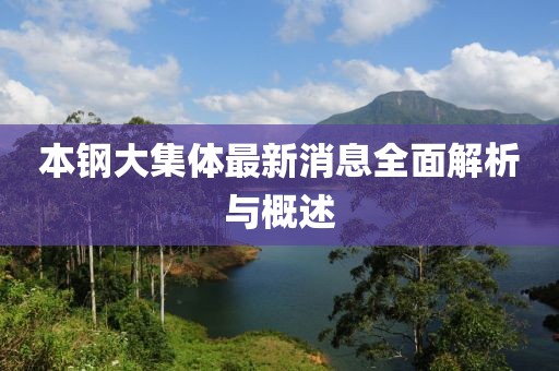 本鋼大集體最新消息全面解析與概述