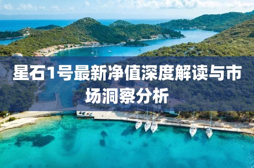 星石1號(hào)最新凈值深度解讀與市場(chǎng)洞察分析