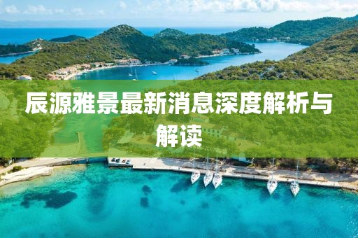 辰源雅景最新消息深度解析與解讀