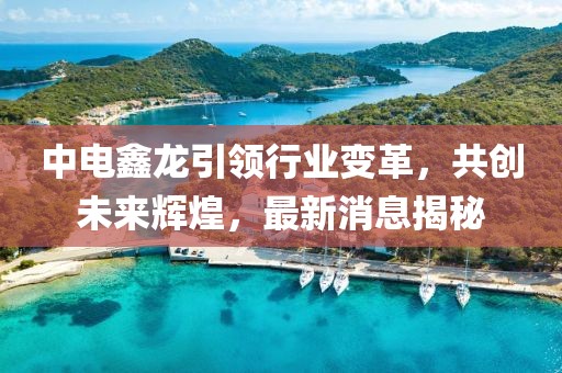 中電鑫龍引領(lǐng)行業(yè)變革，共創(chuàng)未來輝煌，最新消息揭秘