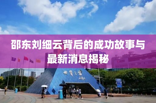 邵東劉細(xì)云背后的成功故事與最新消息揭秘