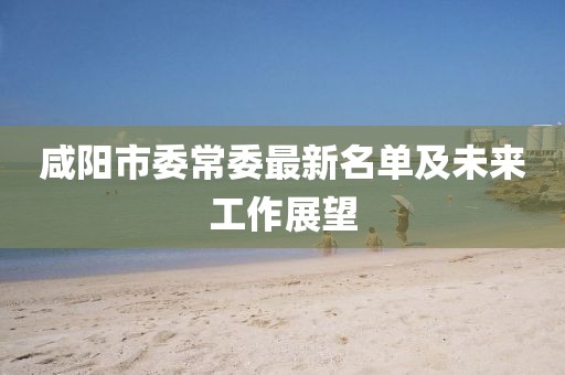 咸陽市委常委最新名單及未來工作展望
