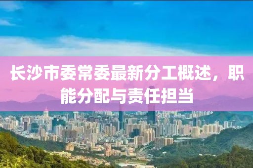 長沙市委常委最新分工概述，職能分配與責任擔當
