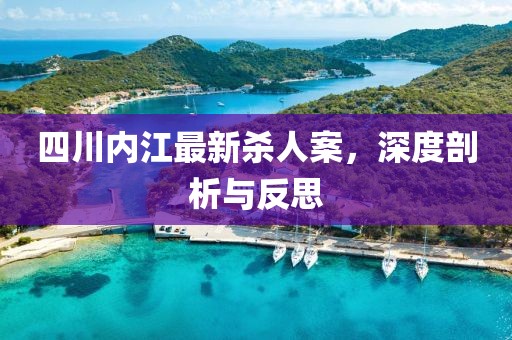 四川內(nèi)江最新殺人案，深度剖析與反思