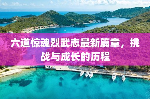 六道驚魂烈武志最新篇章，挑戰(zhàn)與成長的歷程