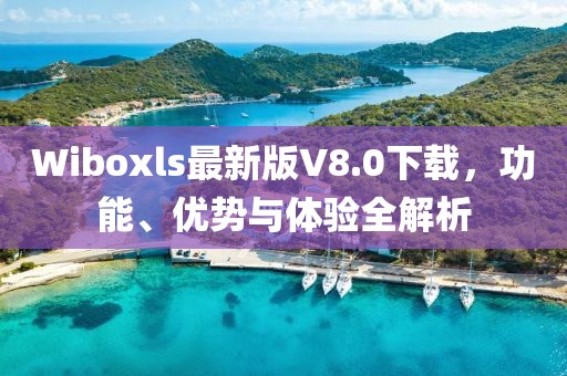 Wiboxls最新版V8.0下載，功能、優(yōu)勢與體驗(yàn)全解析