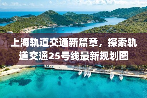 上海軌道交通新篇章，探索軌道交通25號線最新規(guī)劃圖