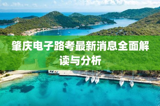 肇慶電子路考最新消息全面解讀與分析