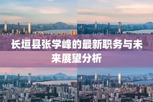 長垣縣張學(xué)峰的最新職務(wù)與未來展望分析