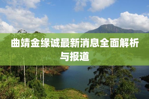 曲靖金緣誠最新消息全面解析與報道