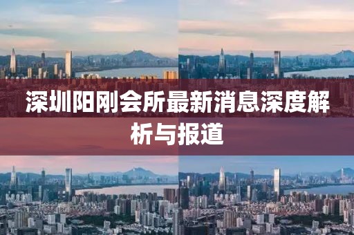 深圳陽(yáng)剛會(huì)所最新消息深度解析與報(bào)道