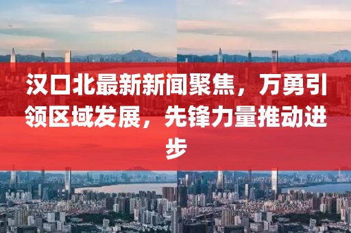 漢口北最新新聞聚焦，萬勇引領區(qū)域發(fā)展，先鋒力量推動進步