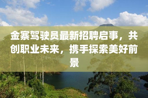金寨駕駛員最新招聘啟事，共創(chuàng)職業(yè)未來，攜手探索美好前景
