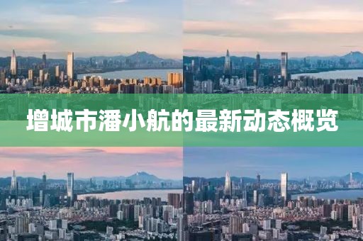 增城市潘小航的最新動態(tài)概覽