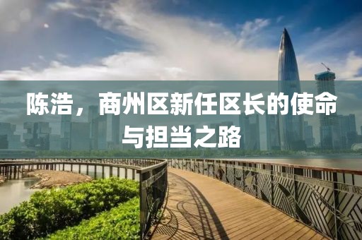 陳浩，商州區(qū)新任區(qū)長(zhǎng)的使命與擔(dān)當(dāng)之路