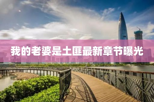 我的老婆是土匪最新章節(jié)曝光