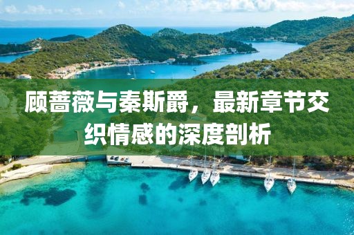 顧薔薇與秦斯爵，最新章節(jié)交織情感的深度剖析