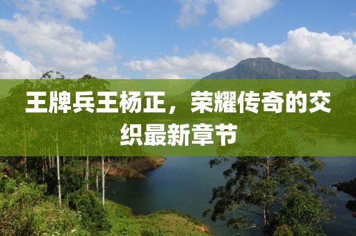 王牌兵王楊正，榮耀傳奇的交織最新章節(jié)