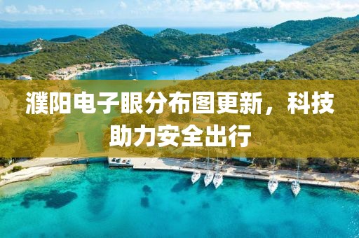 濮陽電子眼分布圖更新，科技助力安全出行