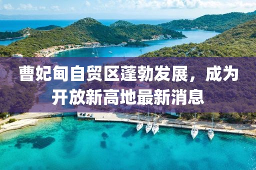 曹妃甸自貿(mào)區(qū)蓬勃發(fā)展，成為開放新高地最新消息