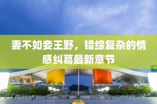 妻不如妾王野，錯綜復(fù)雜的情感糾葛最新章節(jié)