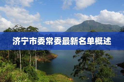 濟(jì)寧市委常委最新名單概述